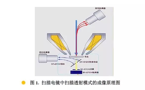 舟山扫描电镜